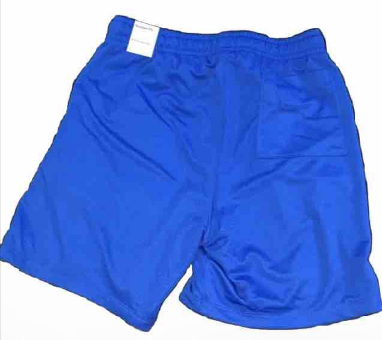 Jordan Basketball Blue Shorts (BRAND NEW)