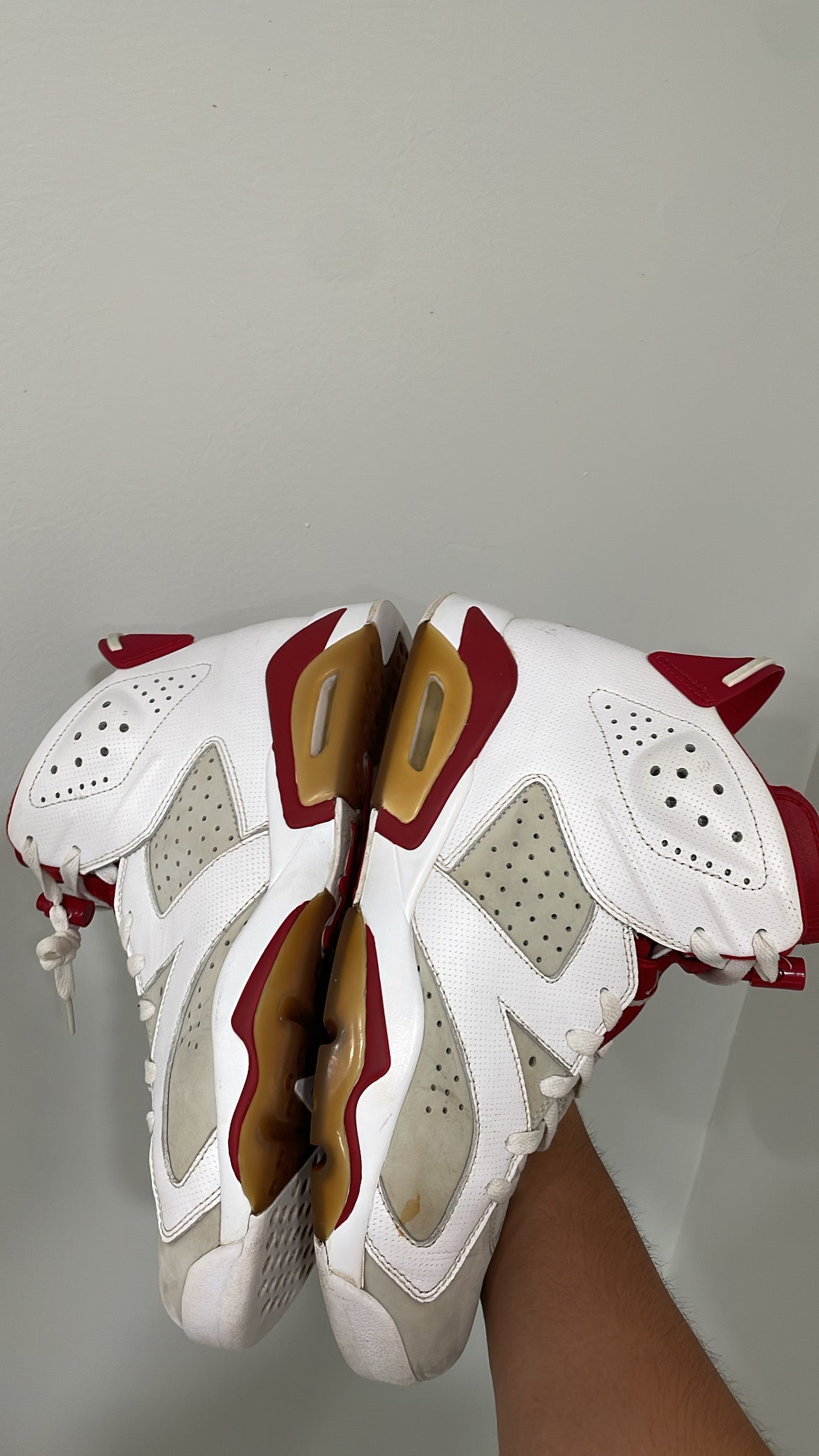 Air Jordan retro 6 alternate hare