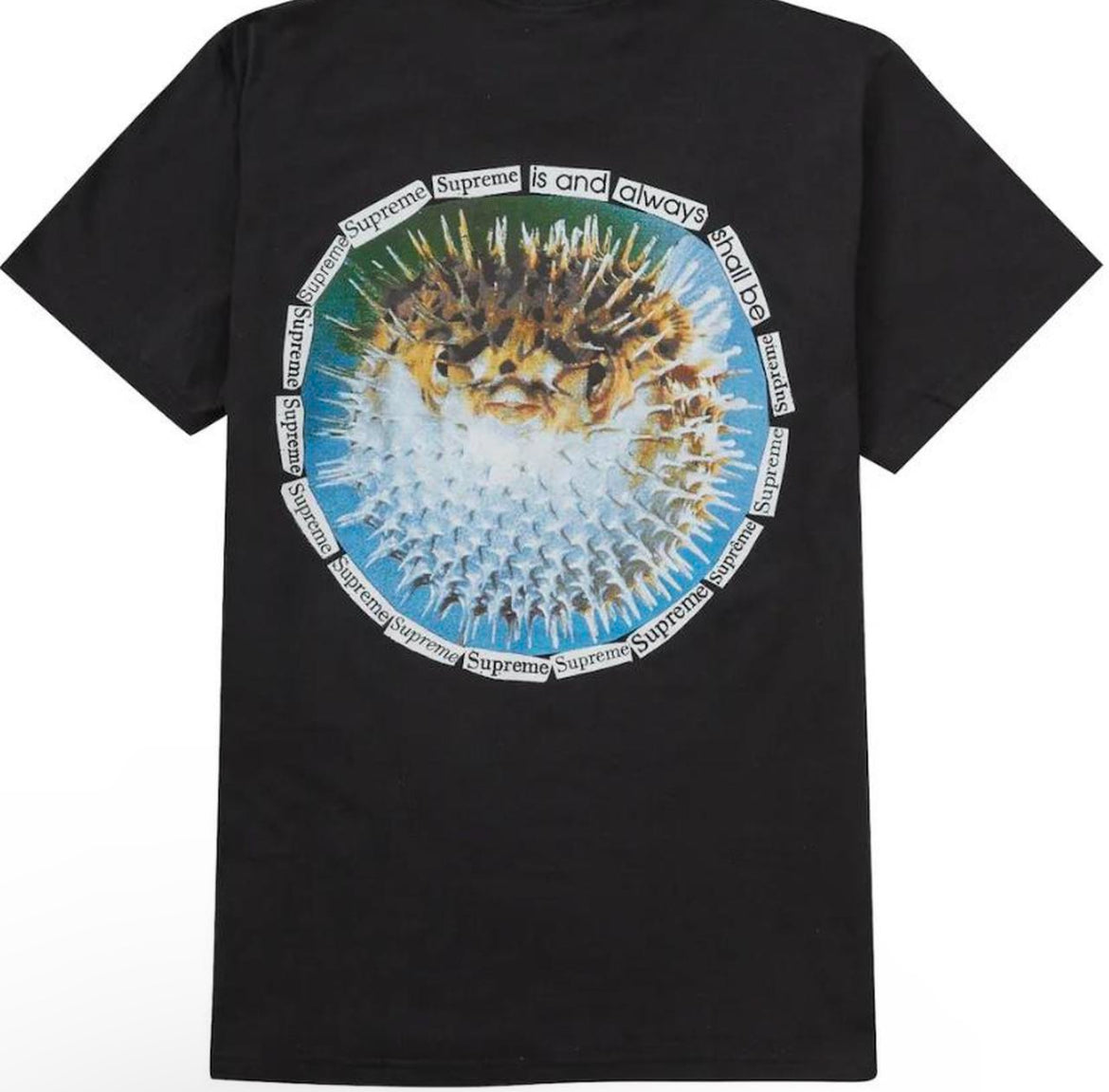 Supreme BlowFish Black Shirt