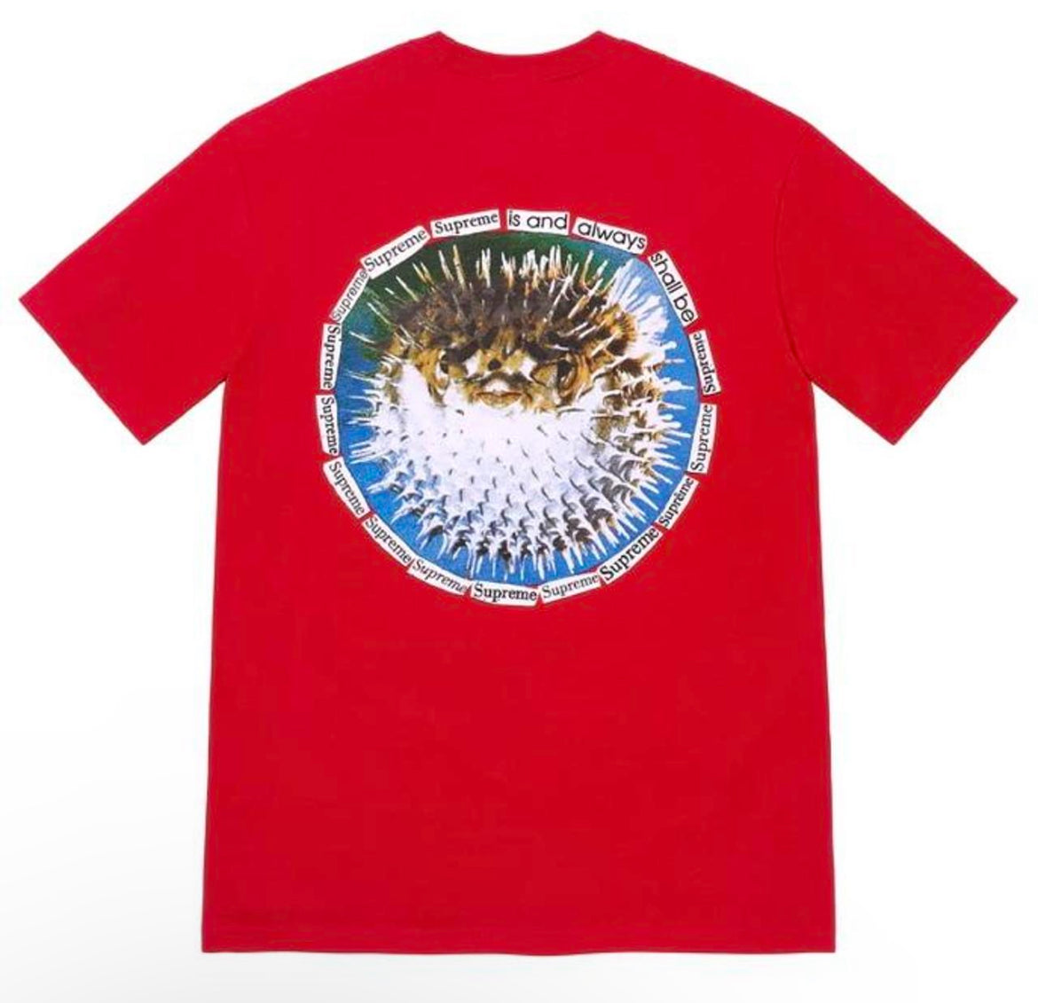 Supreme Red Blowfish Shirt